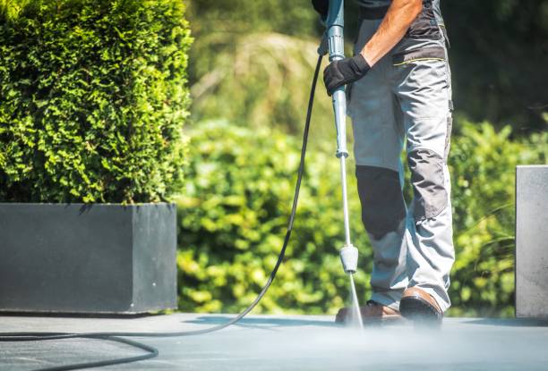 Best Roof Washing  in Bakersfield Country Clu, CA